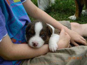 02062012WelpenDeli 091.jpg